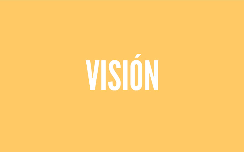 VISION