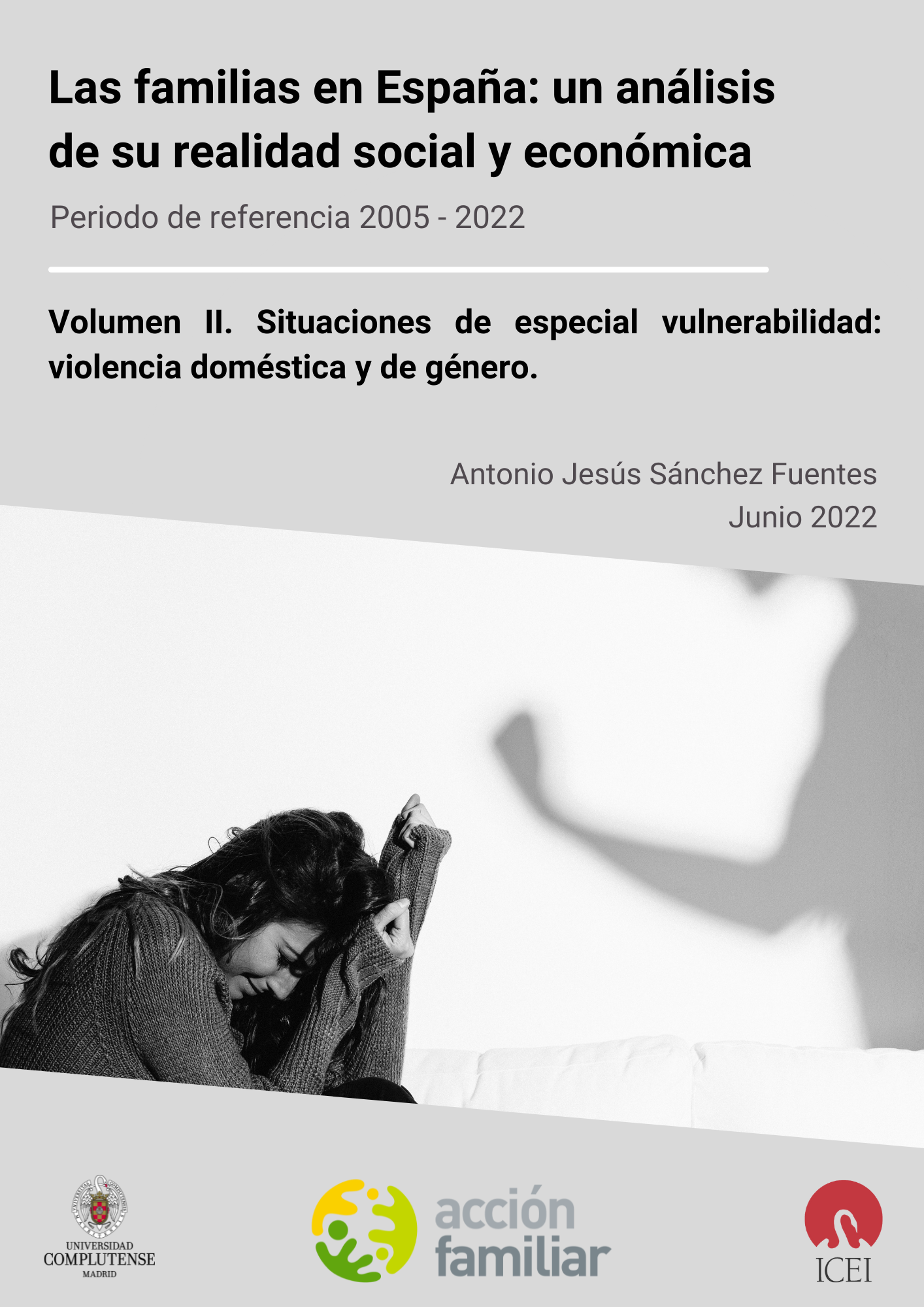 Situaciones de especial vulnerabilidad: violencia doméstica y de género.