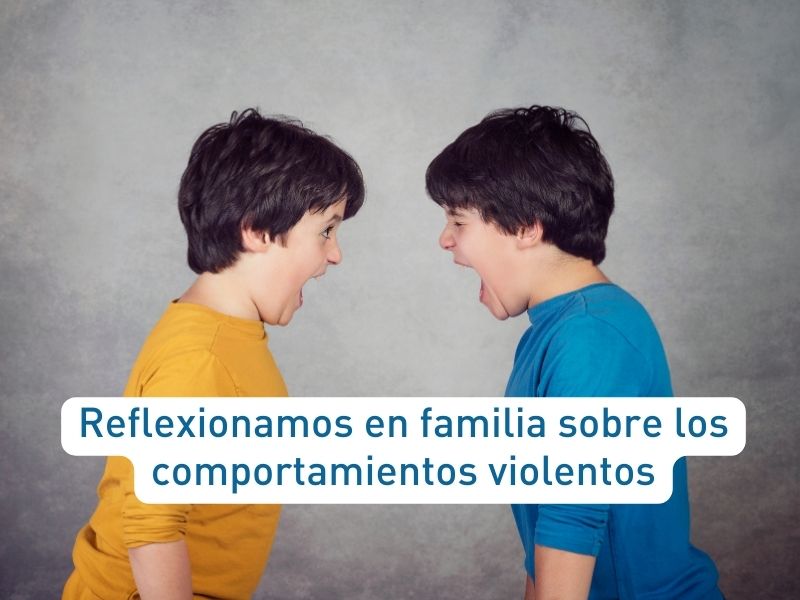 Reflexionamos en familia sobre los comportamientos violentos - Accion Familiar