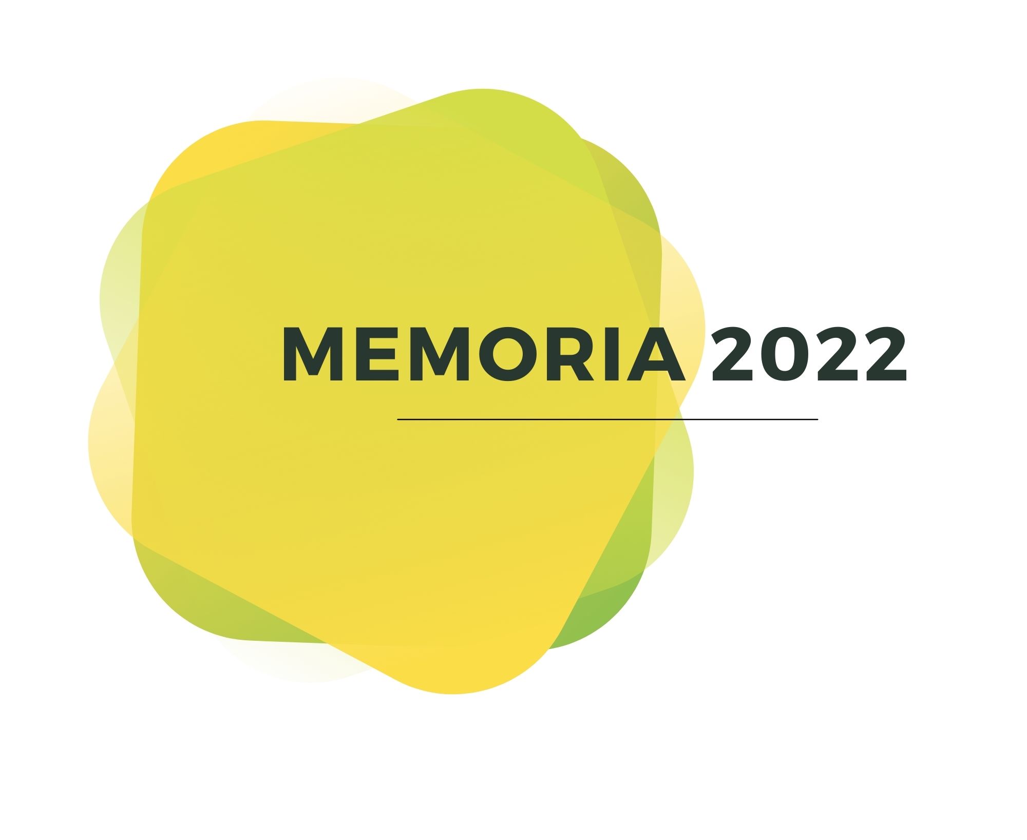 Memoria Accion Familiar 2022