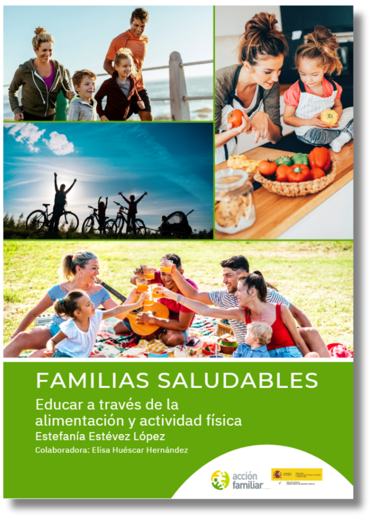 2024 Familia Saludables