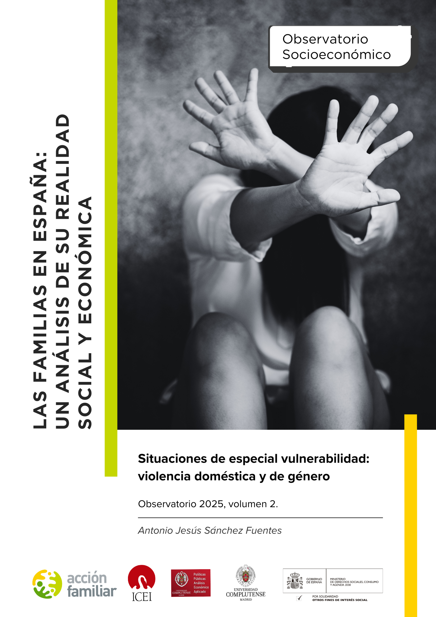 Observatorio Socioeconómico - Volumen 2. Situaciones de especial vulnerabilidad: violencia doméstica y de género.