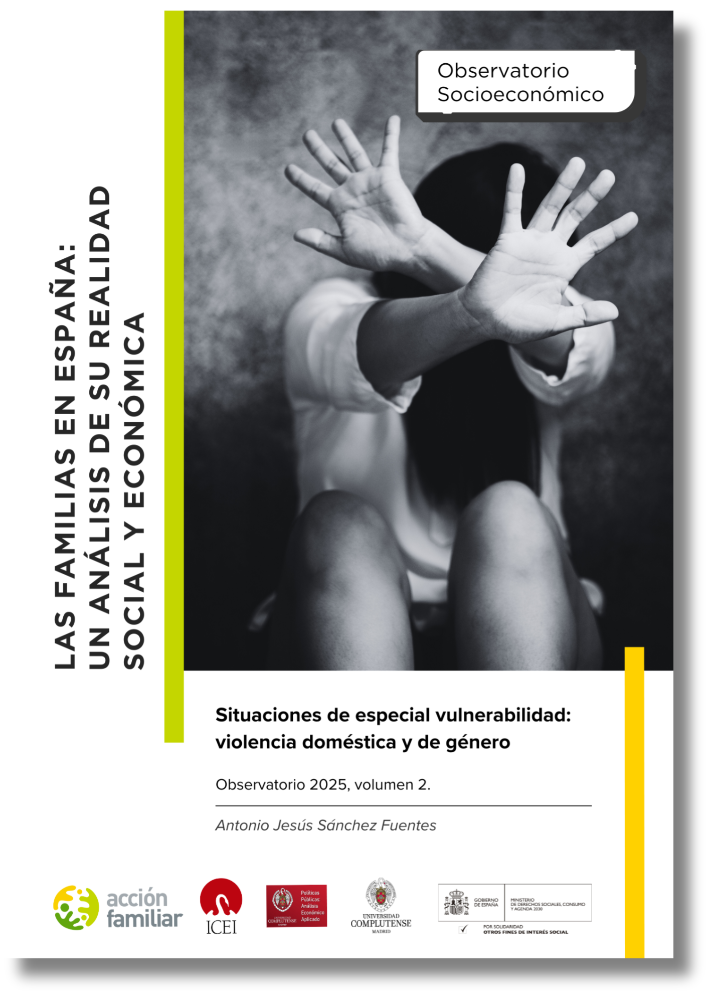 Situaciones de especial vulnerabilidad: violencia doméstica y de género